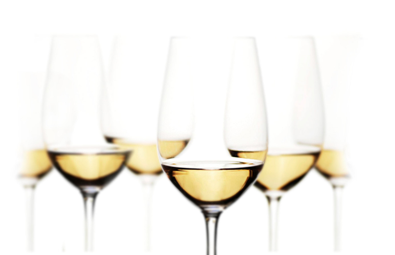 visitas bodegas rias baixas